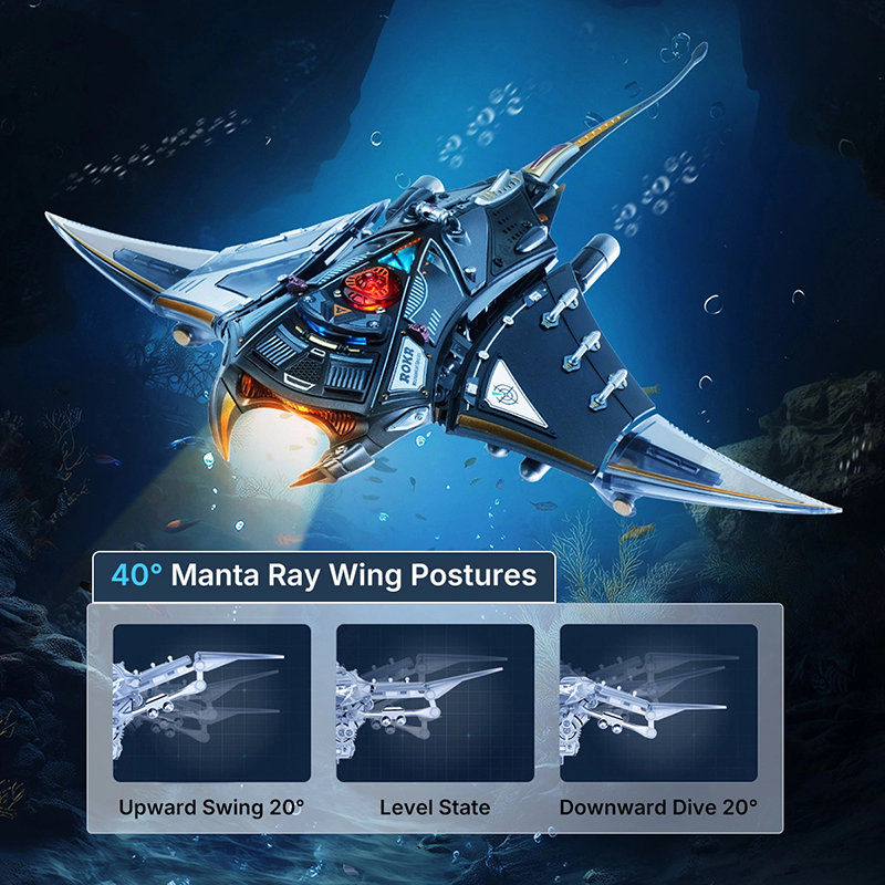 Manta Ray-Mechanical Puzzle